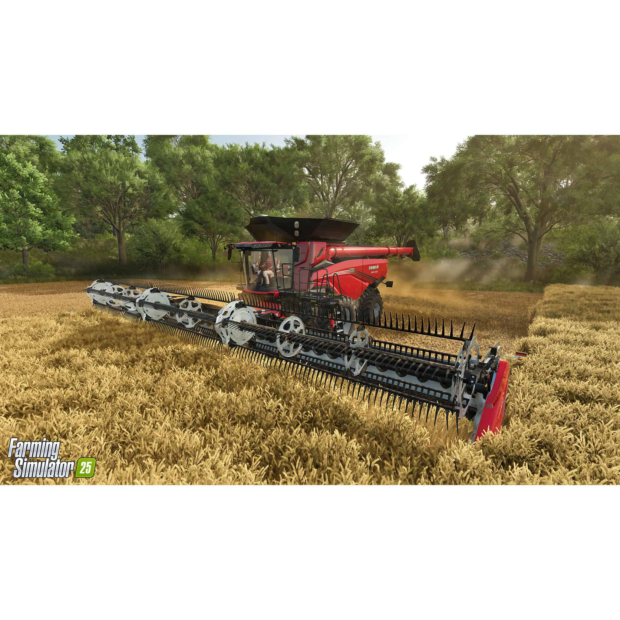 Farming Simulator 25 Standard for PC - Image 2